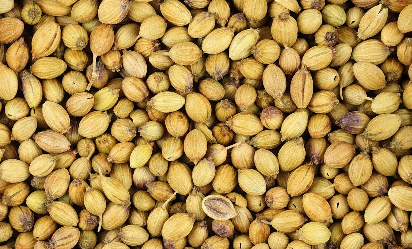 Coriander Seeds