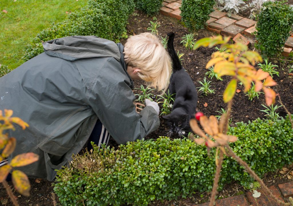Worker stroking the cat in the gardens