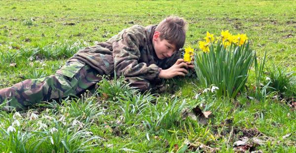 daffs