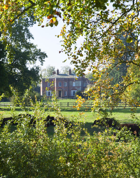 Autumnal South Ormsby Hall