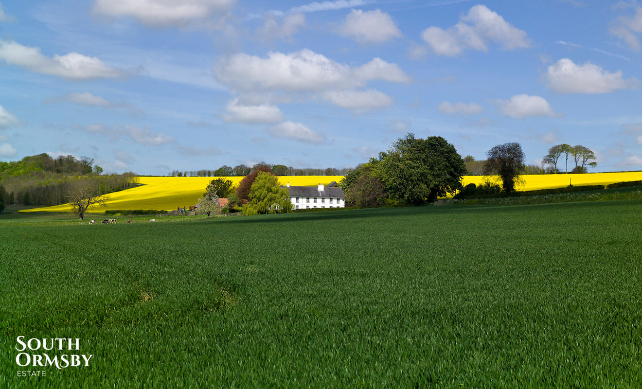 A field in the Lincolnshire Wolds