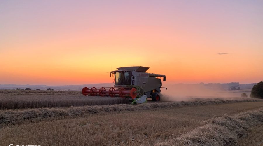 Combine Harvester farming in the Wolds
