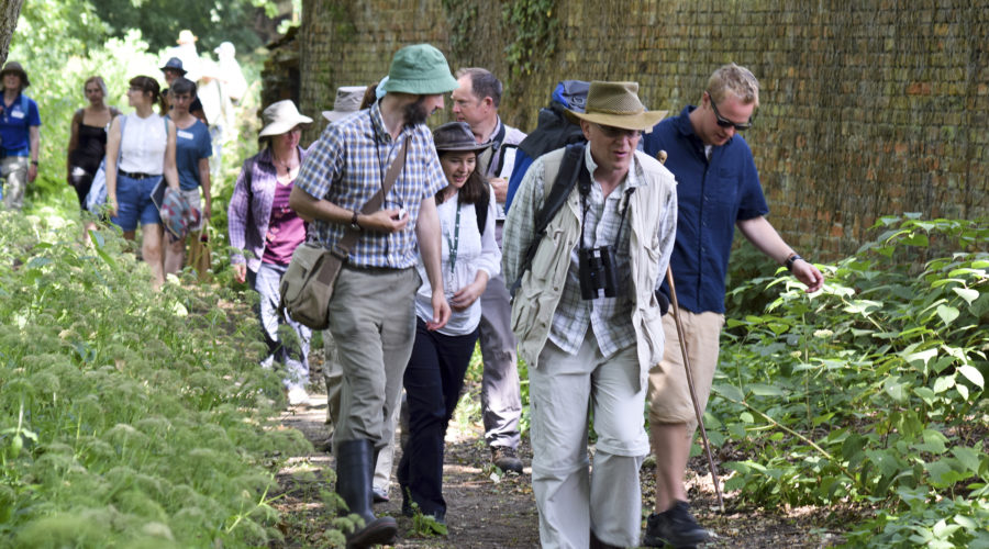 A group of 12 people walking in small groups down a dirty path with a large brick wall on the right hand side.