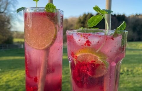 Marjito Marie Jeanne Pink Gin Cocktail - 2
