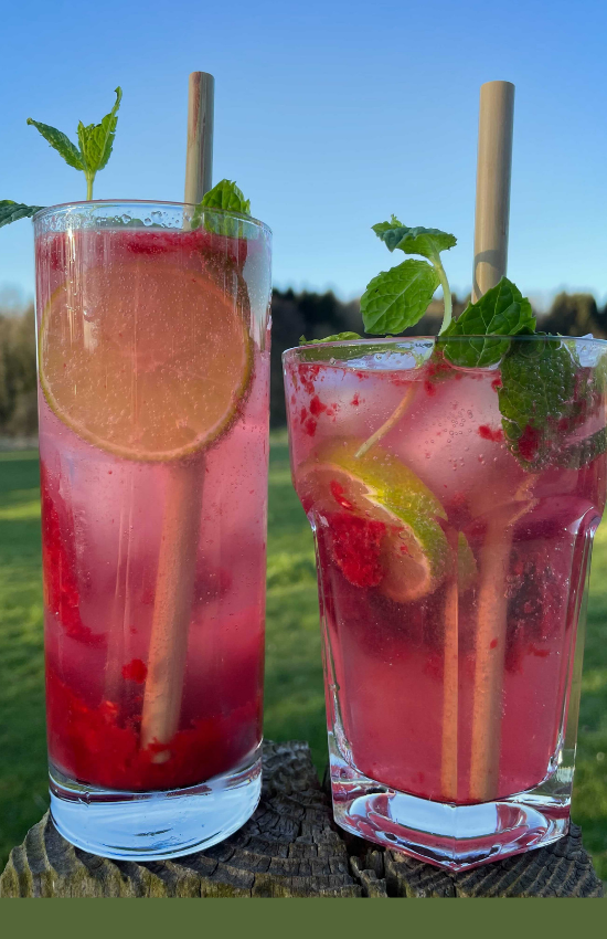 Raspberry Gin Mojito