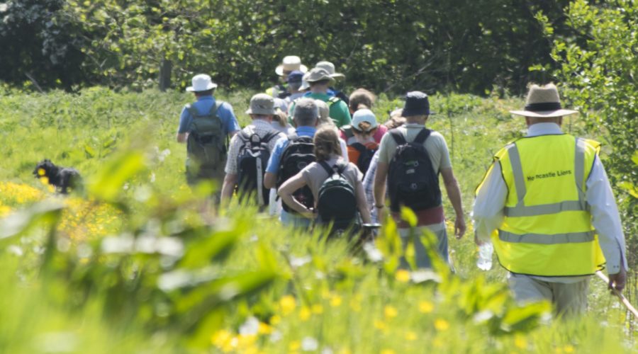 Group on walk through Lincolnshire