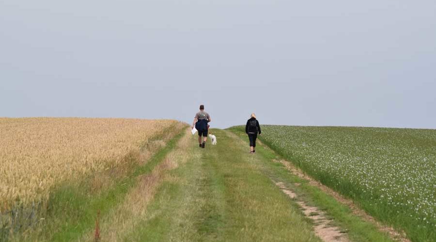 Two people walking in the wolds