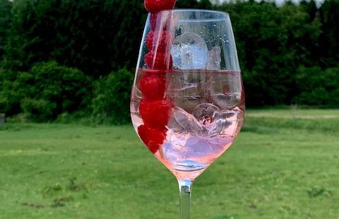 angled picture of pink gin in a glass with raspberries