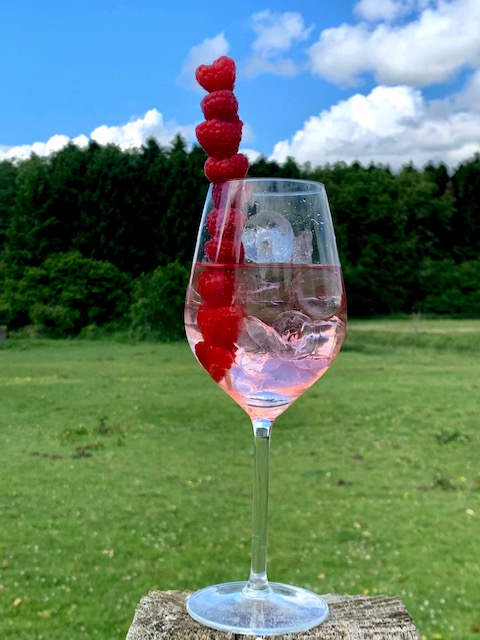 angled picture of pink gin in a glass with raspberries