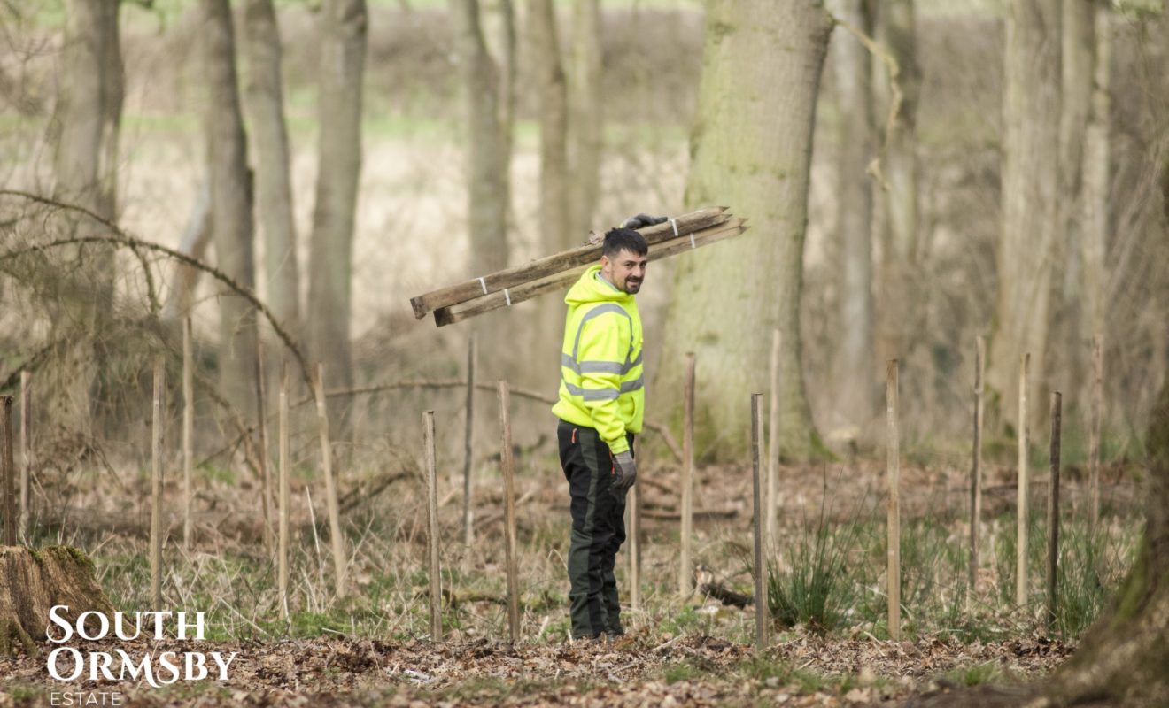 Man with Wooden posts in the Lincolnshire Wolds