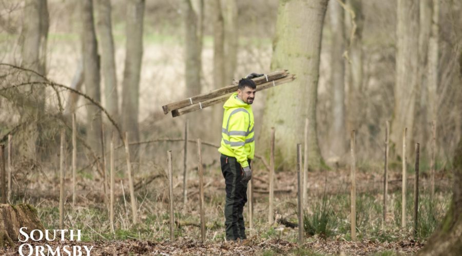 Man with Wooden posts in the Lincolnshire Wolds