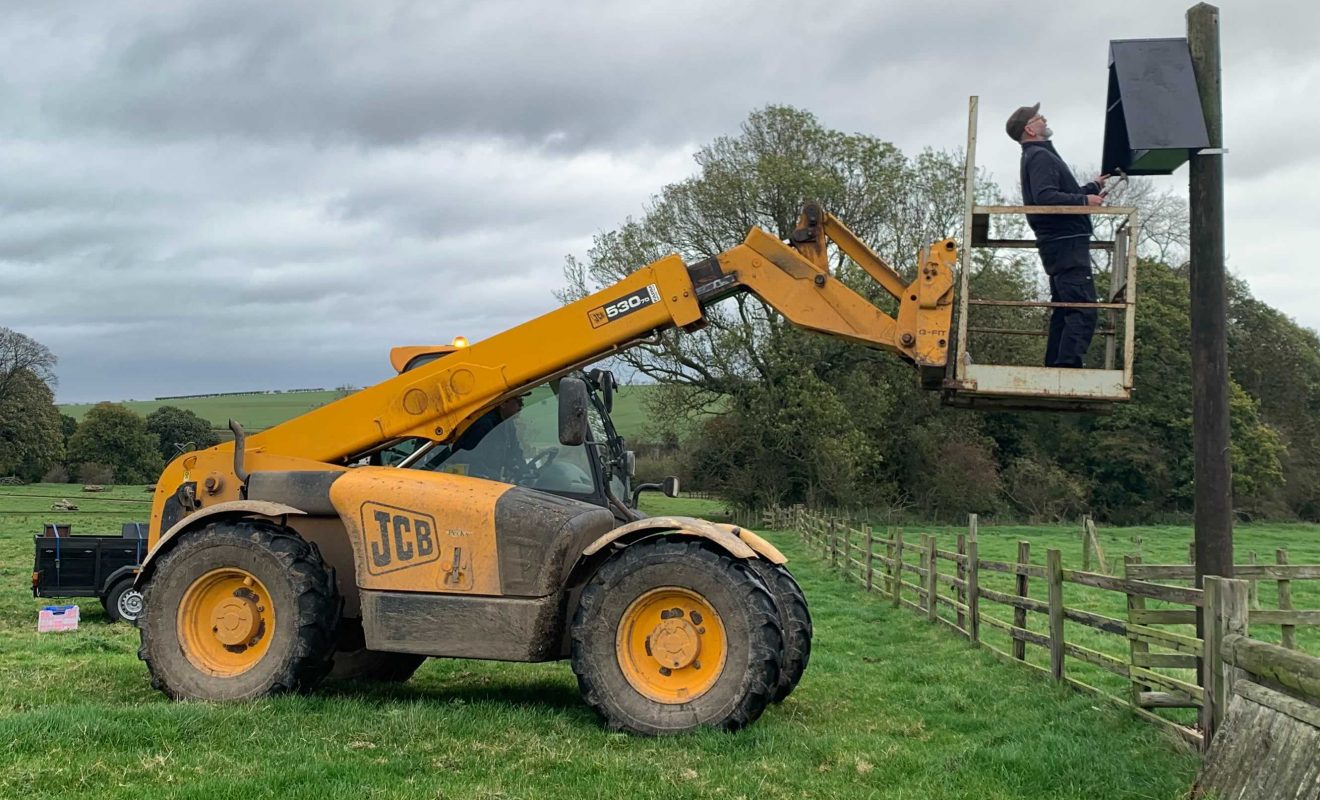 Owl Box being installed around the Estate