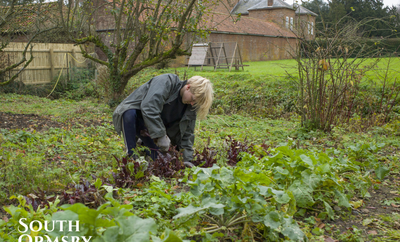 Person Gardening