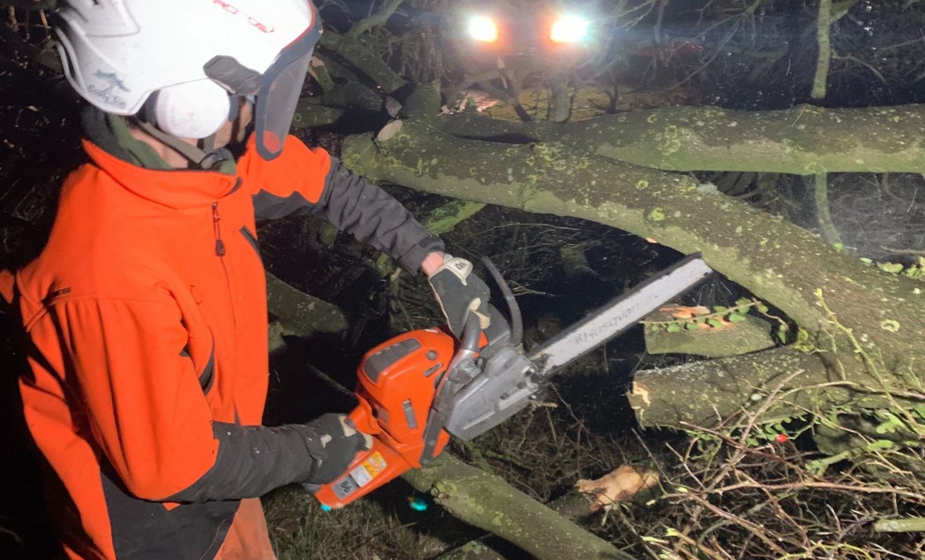 Man Cutting Down Tree Branch