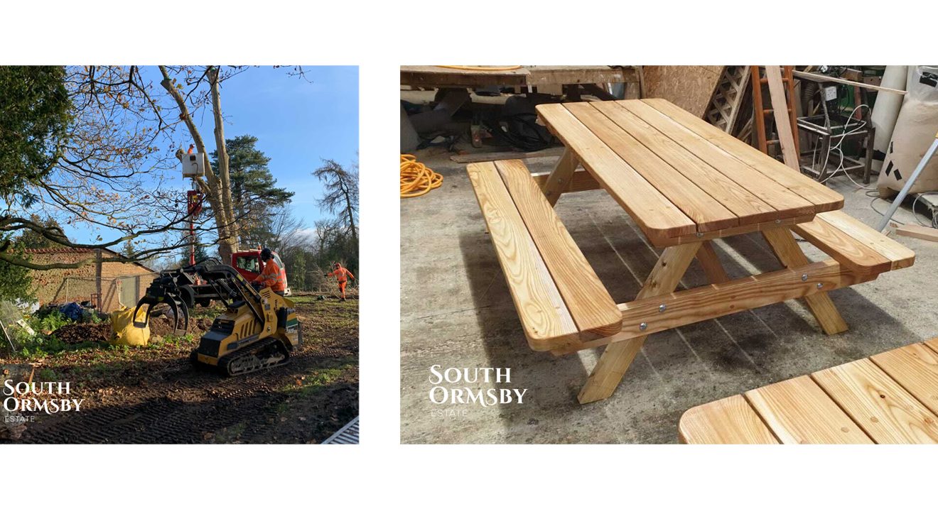 tree surgeon & new bench