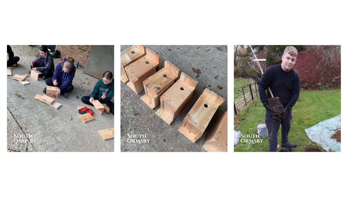 bird boxes & tree planting