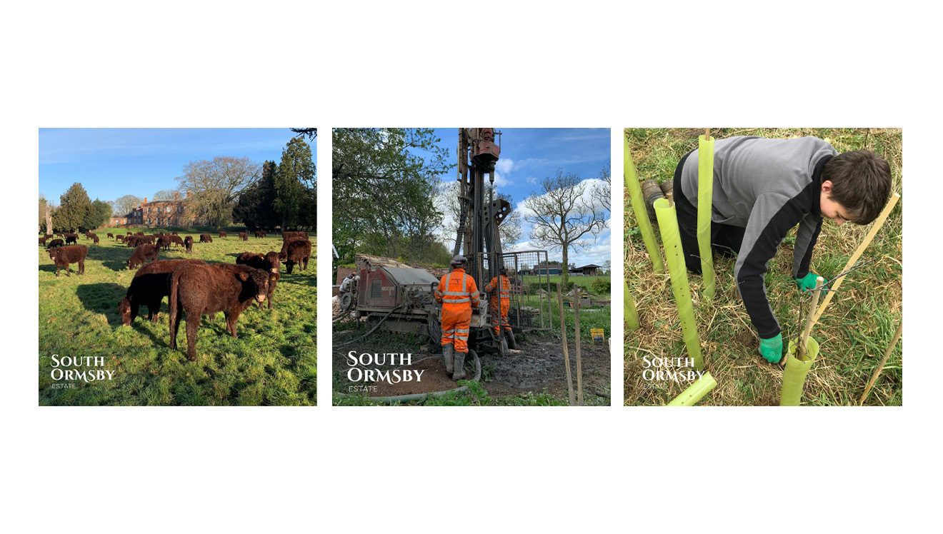 Collage Of Gardening & Working