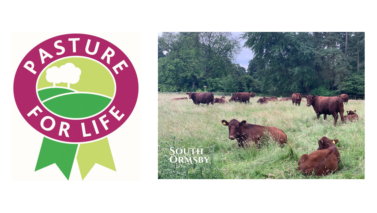 Pasture for Life logo with Lincoln Reds