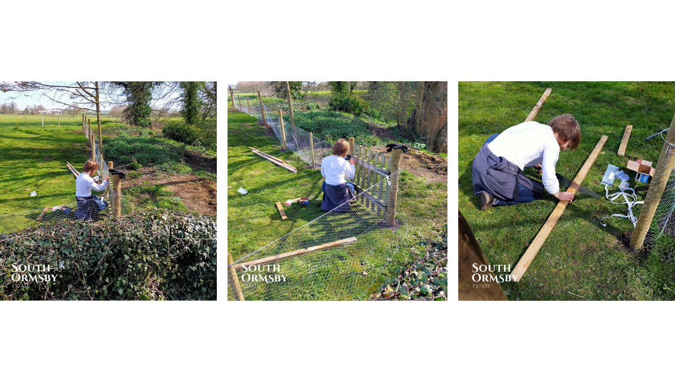 Toby gardening