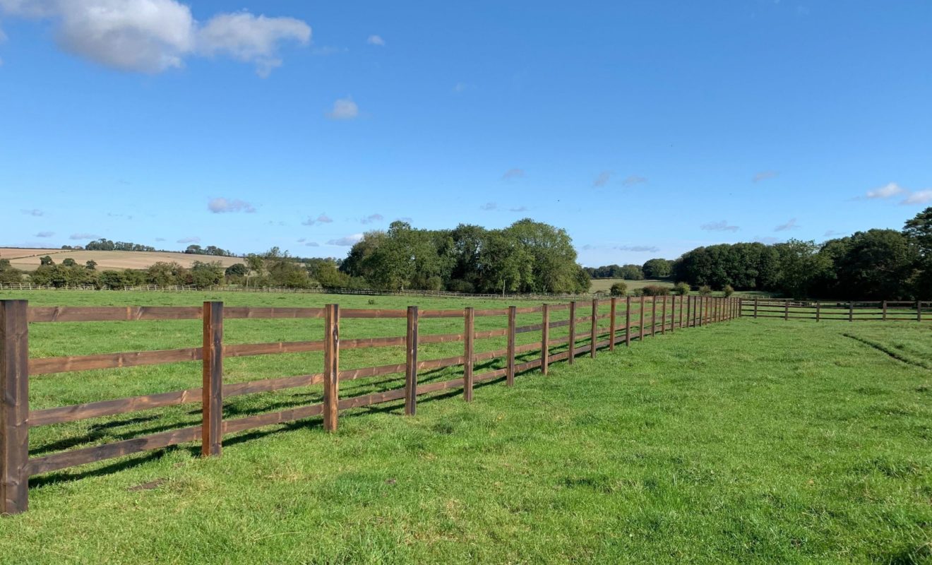 Fence Along Field
