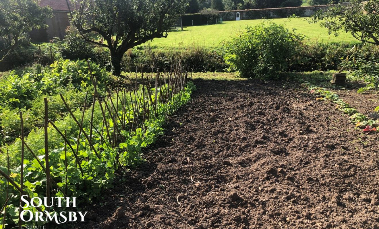 Walled Garden veg bed