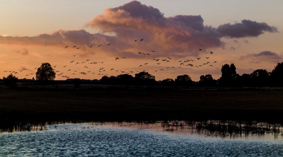 Lincolnshire landscape