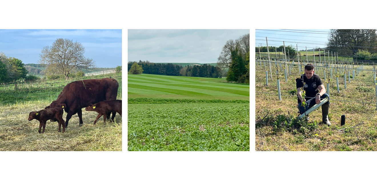 farming