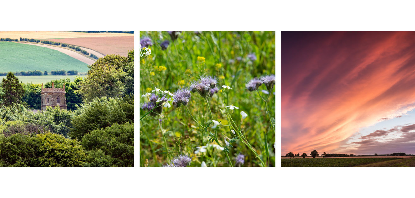 wolds landscape