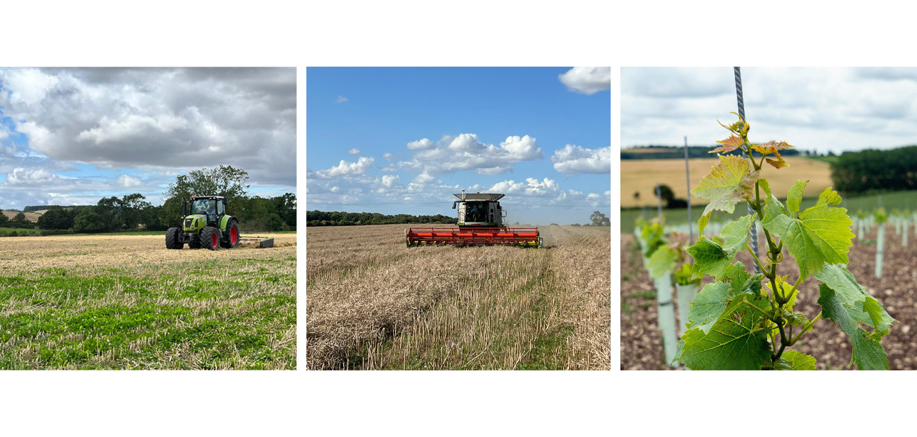 harvest