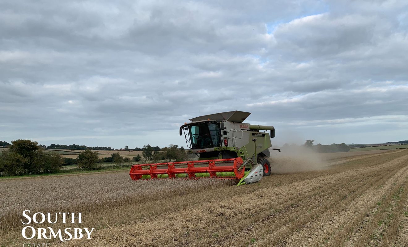 Harvesting