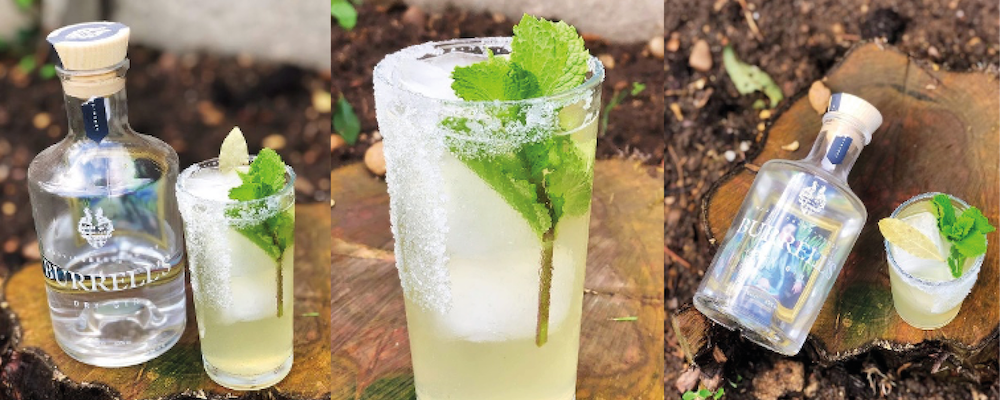The Lincolnshire Mojito gin cocktail collage