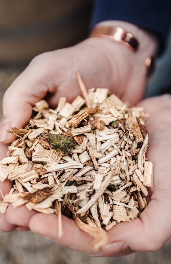 Oak Chips in Hand