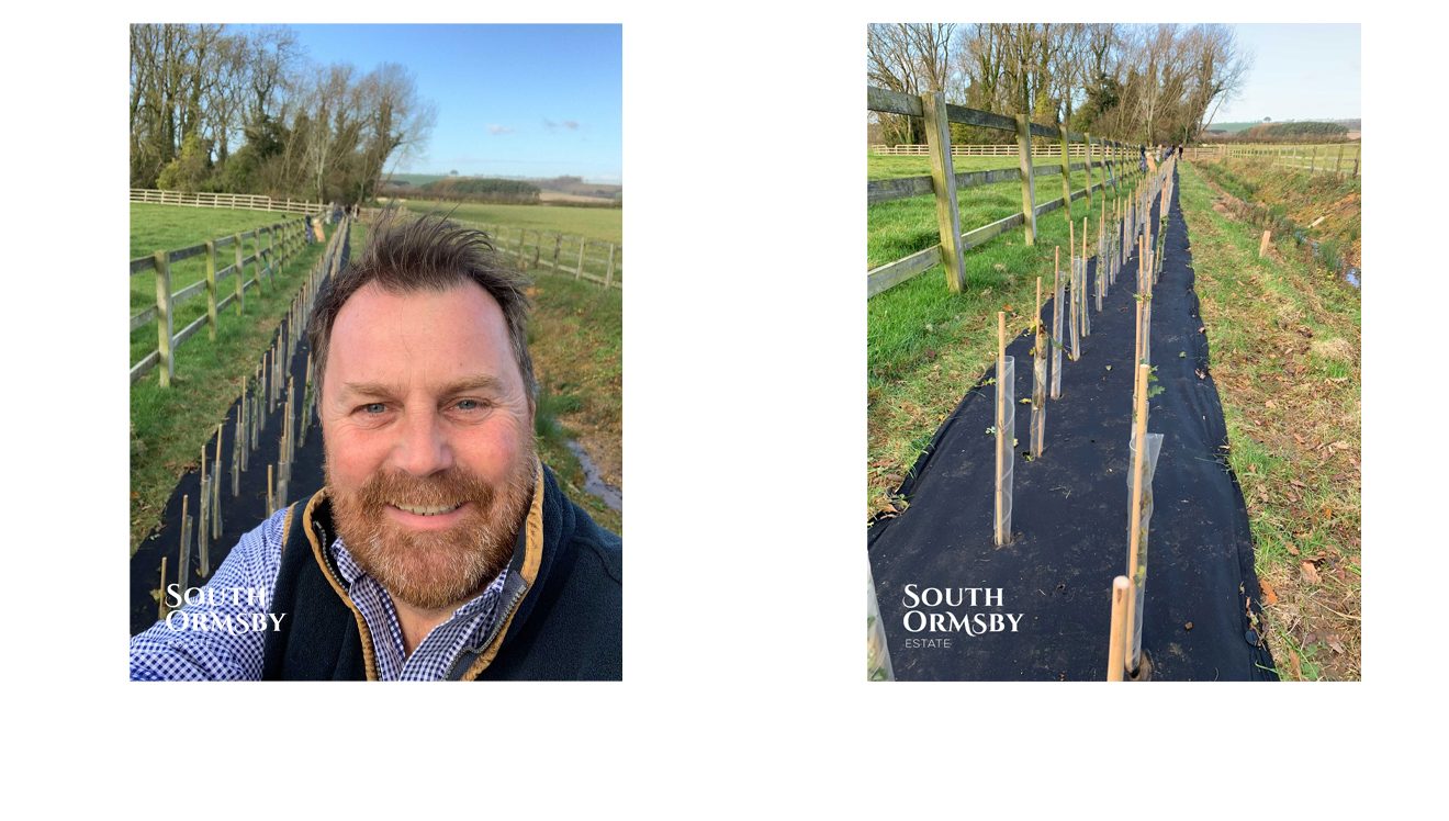 Paul Barnes preparing new hedgerow