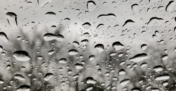rain by Martin Fisch via Flickr CC