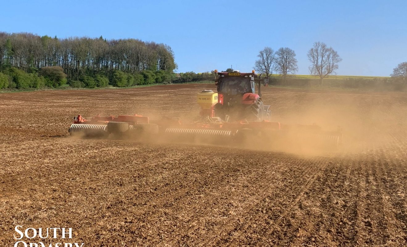 Tractor On Field