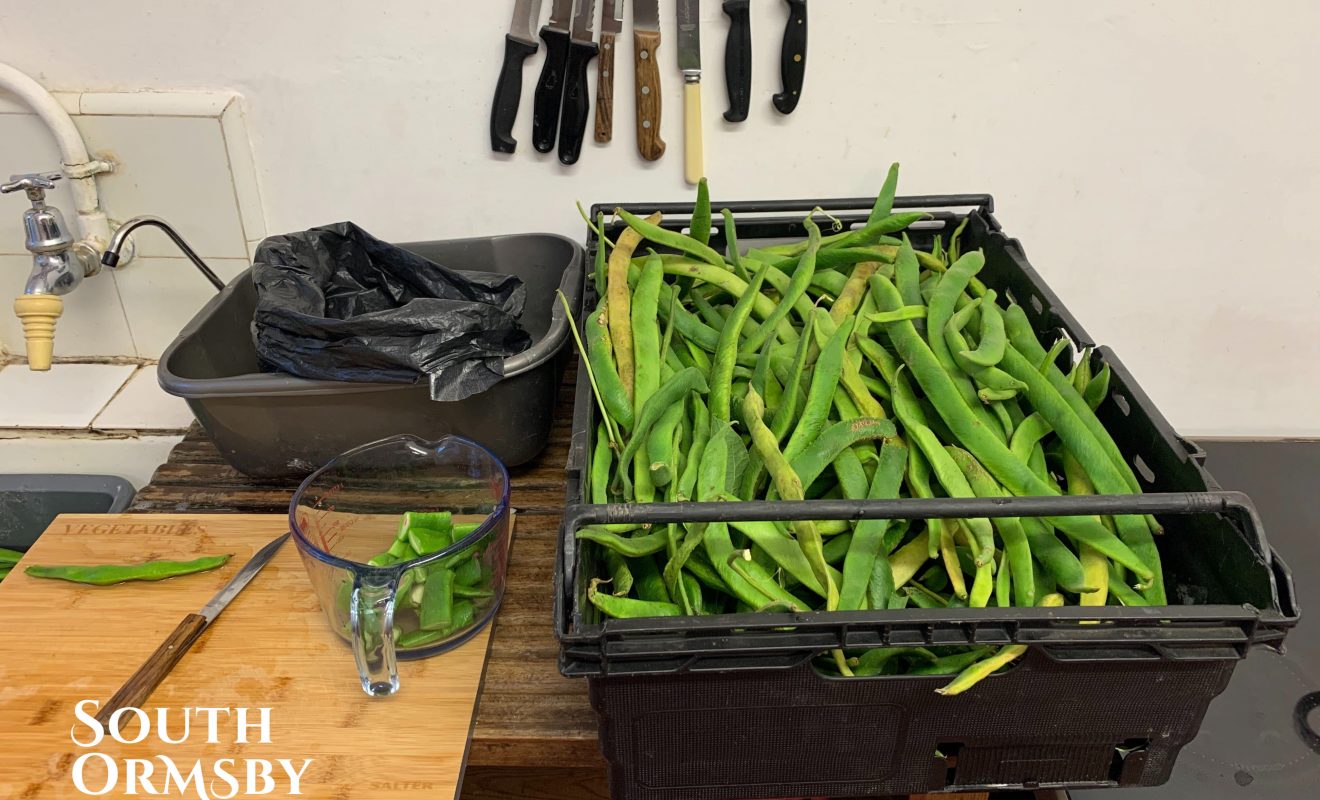 Green Beans grown at the Estate's walled garden