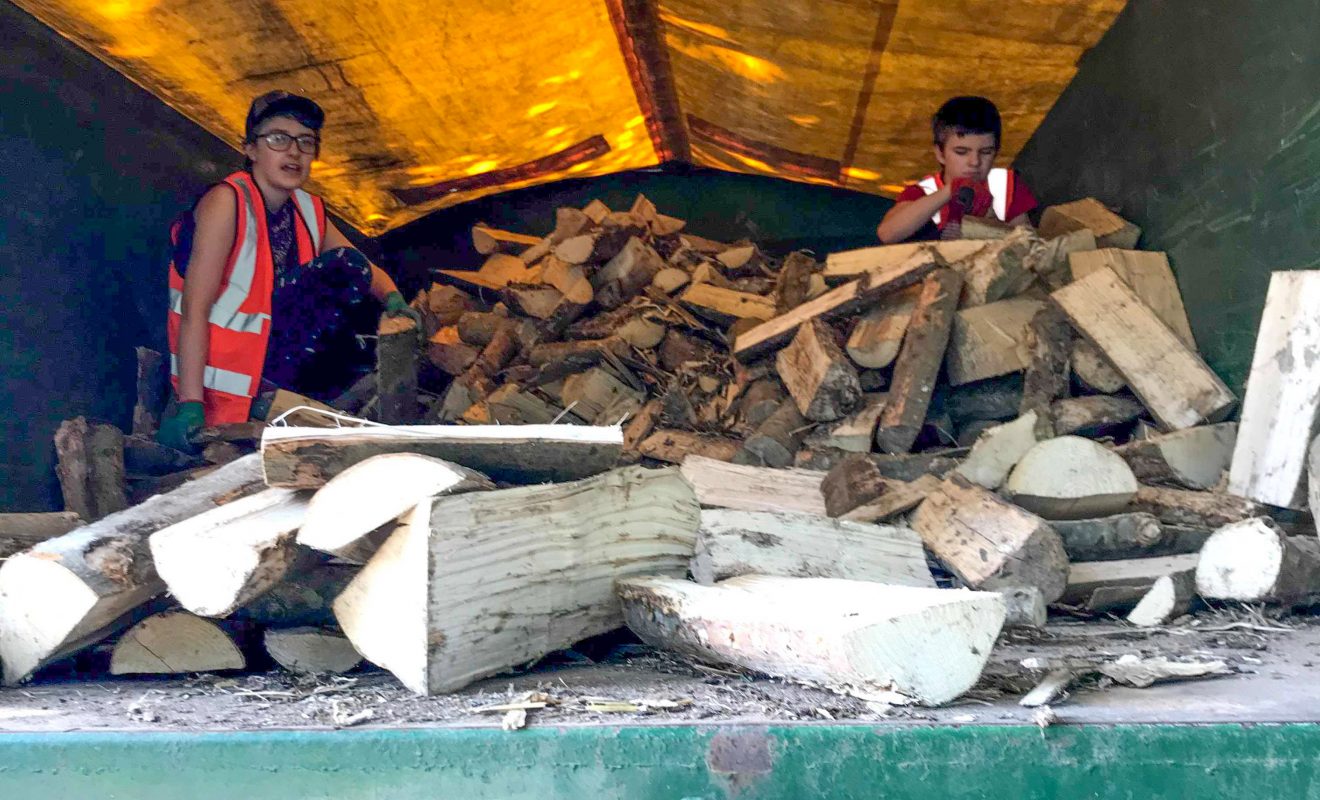 People Sorting Logs