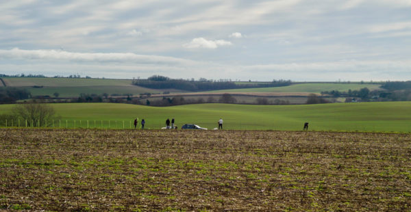 hegde laying