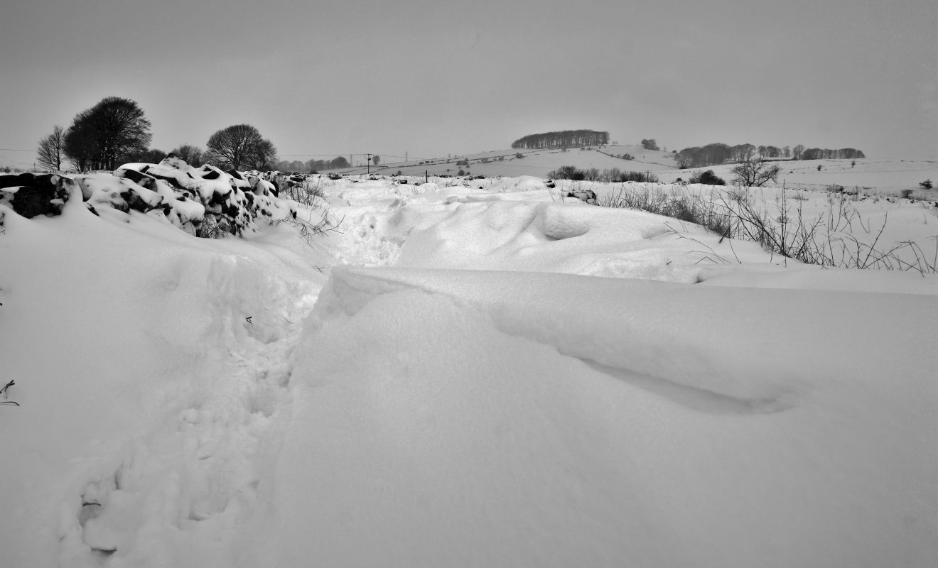 Snowdrift by Simon Harrod via Flickr CC