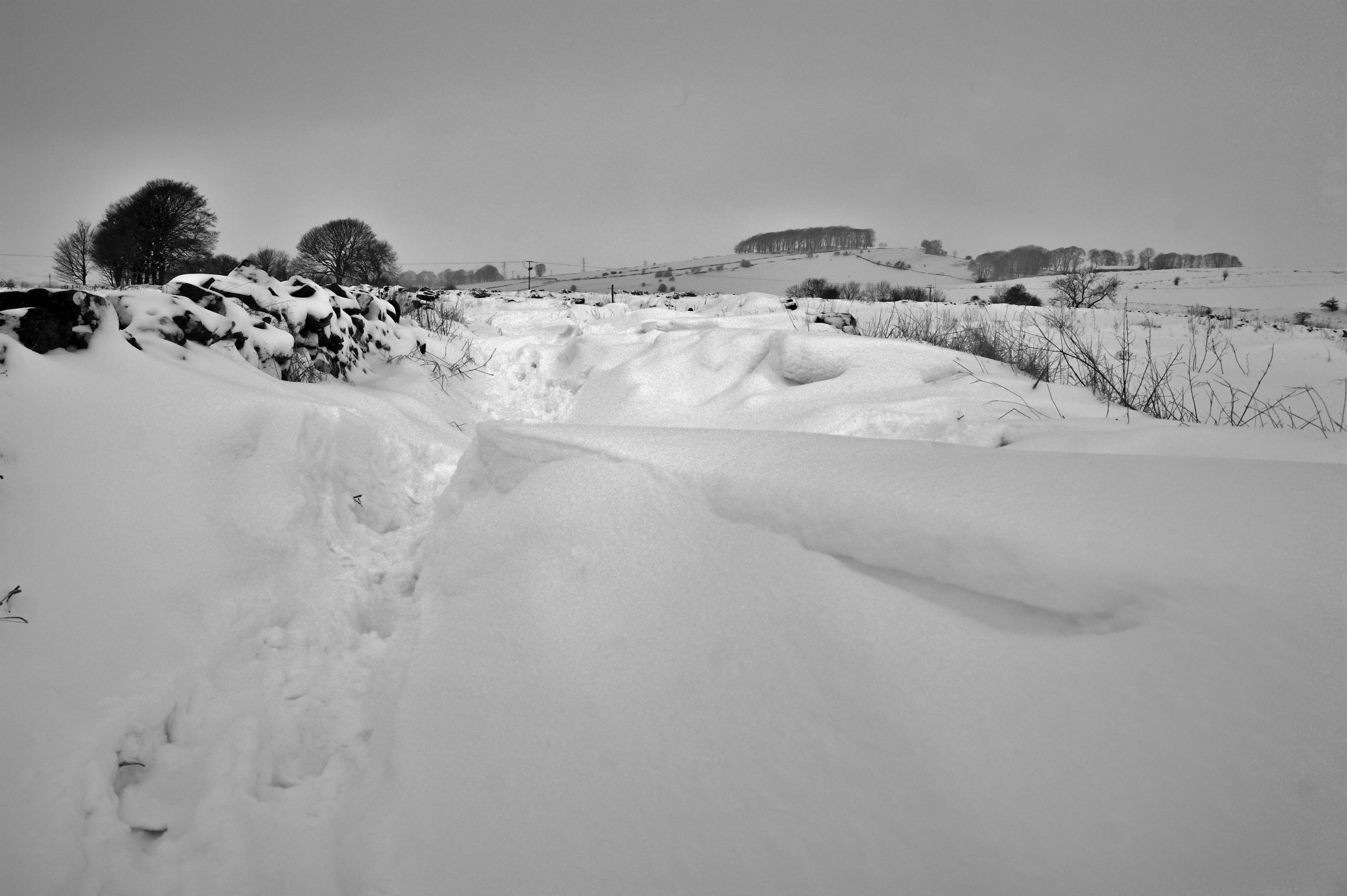 Snowdrift by Simon Harrod via Flickr CC