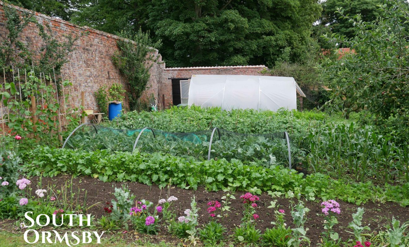 The walled garden crop