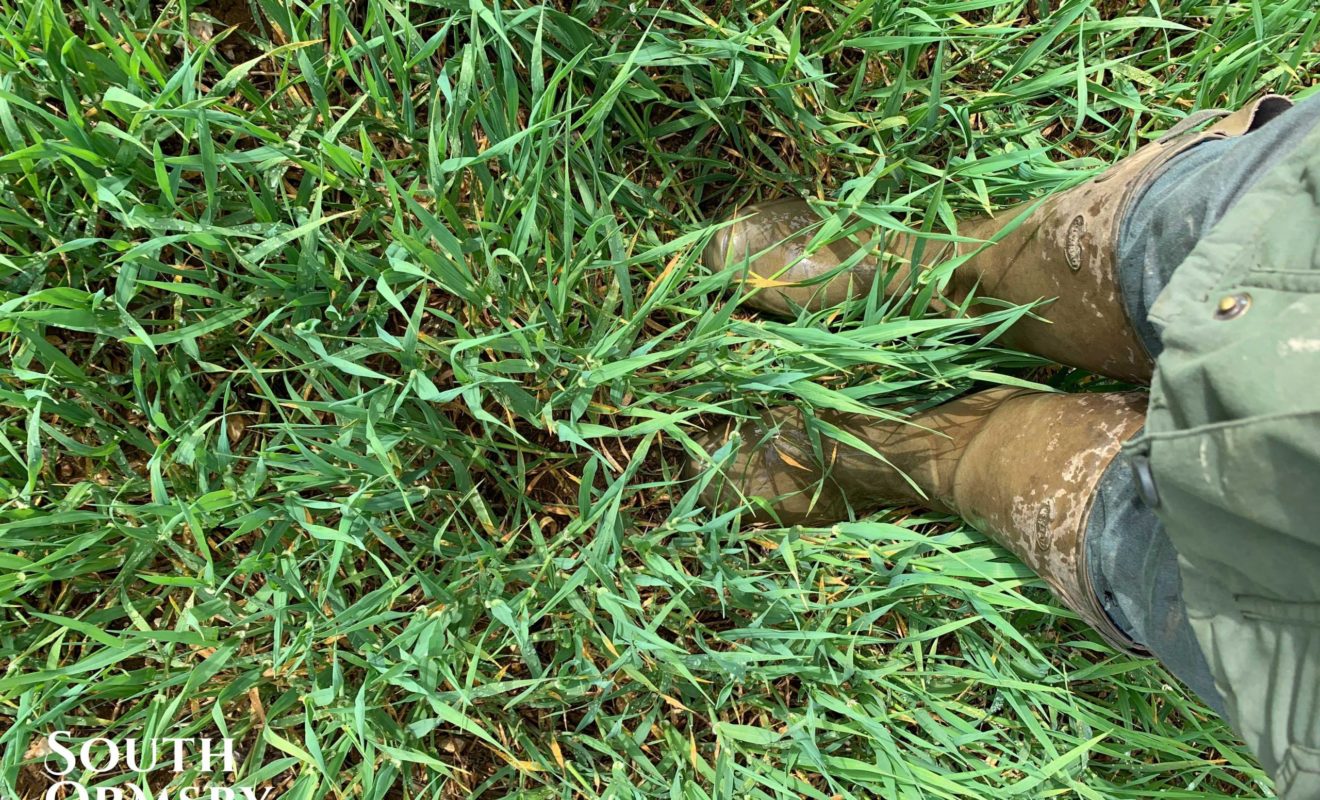 Wellies In Long Grass