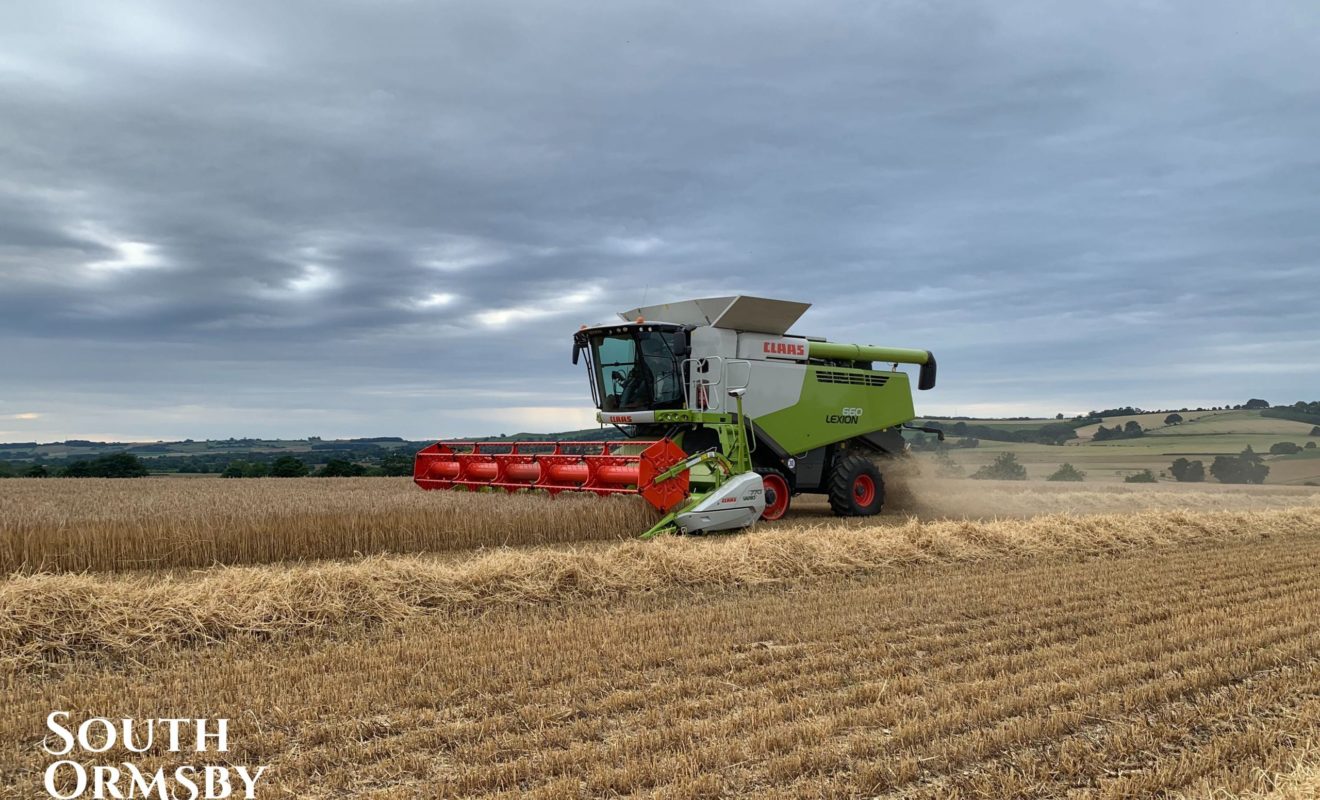 Winter Barley